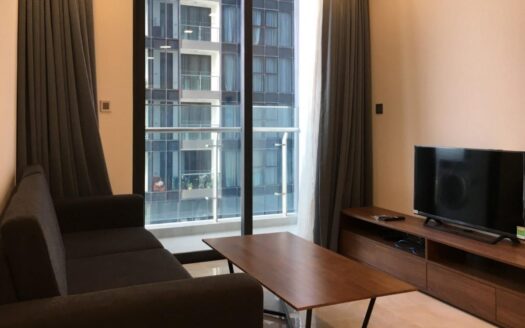 Ho Chi Minh City District 1 Apartment rentals